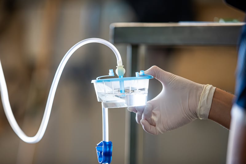 Embryo Transfer (E.T.)