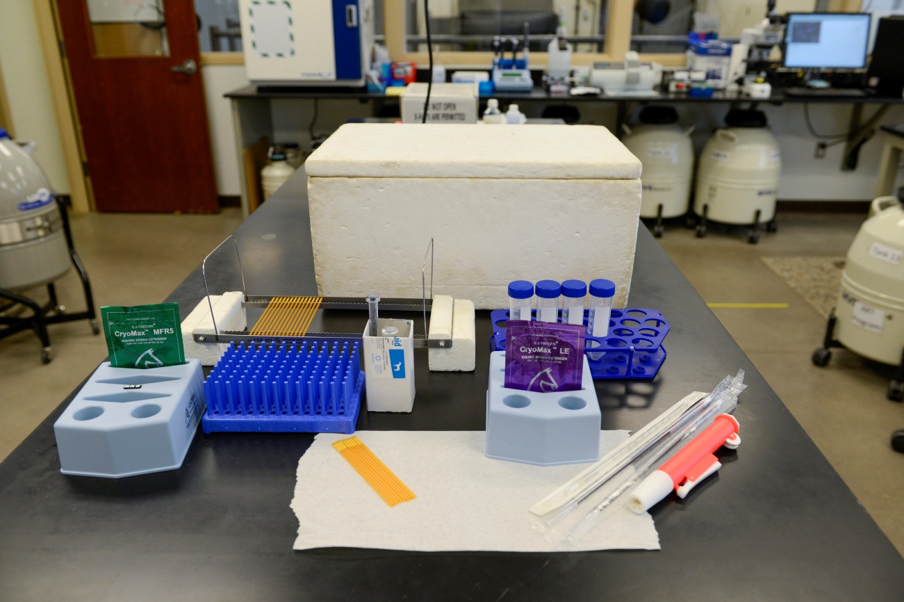 Semen Collection, Manipulation, Shipping and Freezing